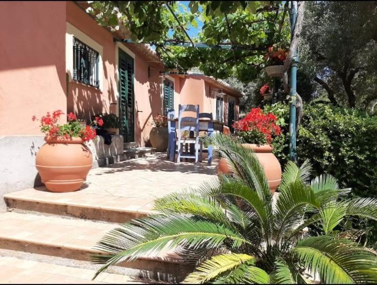 Villa Gemma Joppolo Ngoại thất bức ảnh